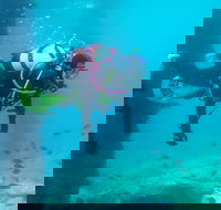 Shellharbour Scuba  and Photography Centre - Hotel Gold Coast