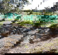 Tactical Paintball Games - Hotel Gold Coast