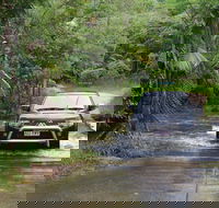 The Pioneer Valley and Eungella National Park - Hotel Gold Coast