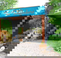 The Truffledore - Hotel Gold Coast