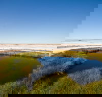 Wabma Kadarbu Mound Springs Conservation Park - Hotel Gold Coast