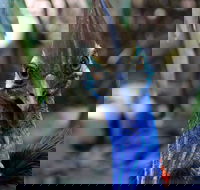 Wildlife Habitat - Hotel Gold Coast