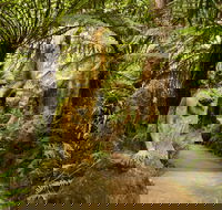 William Ricketts Sanctuary - Hotel Gold Coast