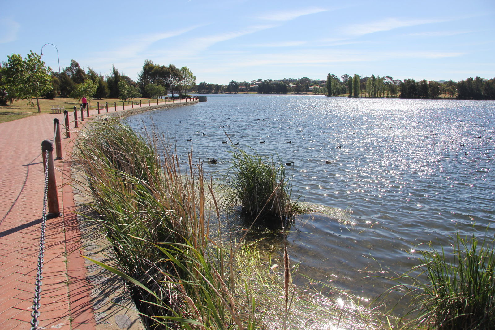 Amaroo ACT Hotel Gold Coast
