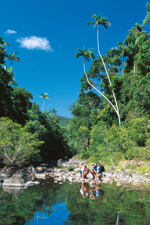 Airlie Beach To Cedar Creek Falls - Hotel Gold Coast 1
