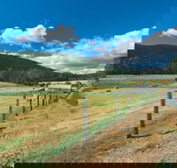 Blackwood River Tourist Drive