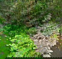 Brindle Creek Picnic Area - Hotel Gold Coast