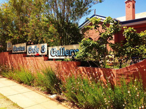 Cactus Cafe And Gallery - Hotel Gold Coast 0