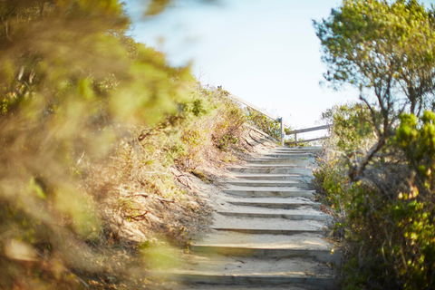 Coppins Walk Track (part Of The Coastal Walk) - Hotel Gold Coast 0