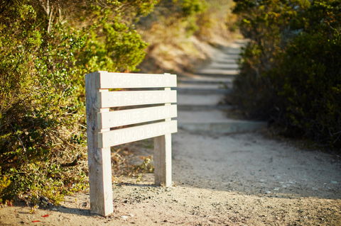 Coppins Walk Track (part Of The Coastal Walk) - Hotel Gold Coast 1