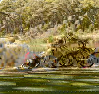 Creswick Regional Park - Hotel Gold Coast