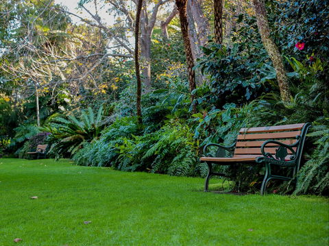 EG Waterhouse National Camellia Gardens - Hotel Gold Coast 0
