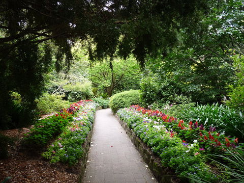 EG Waterhouse National Camellia Gardens - Hotel Gold Coast 1