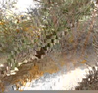 Eulo Town Hole - Hotel Gold Coast