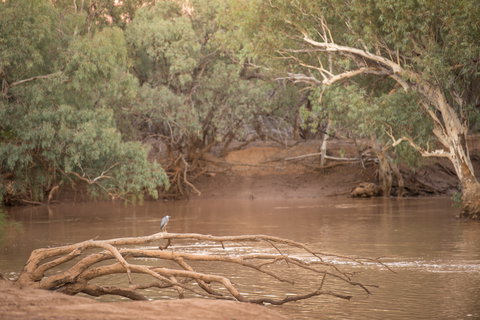 Eulo Town Hole - Hotel Gold Coast 2