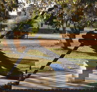 Europa Anchor - Hotel Gold Coast