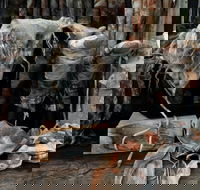 Geckostrands Textile Artist - Hotel Gold Coast