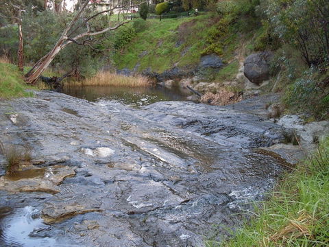 Glacier Rock - Hotel Gold Coast 0