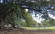 Glebe Foreshore Walk - thumb 2