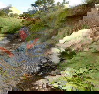 Gold Panning Deep Creek - Hotel Gold Coast