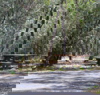 Goonoowigall State Conservation Area - Hotel Gold Coast