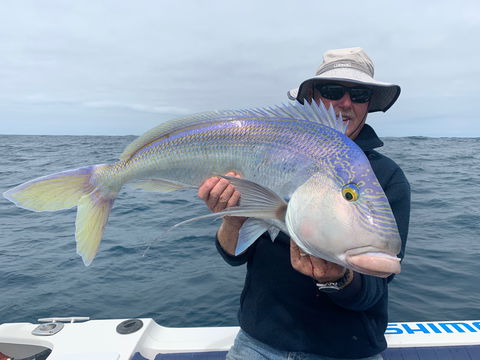 GT Fishing Charters - Hotel Gold Coast 1