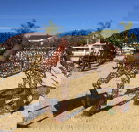 Gundersen Reserve - Hotel Gold Coast
