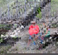 Gunbower Island Forest Drive
