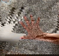 Hands of Fame Park - Hotel Gold Coast