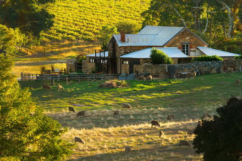 Hutton Vale Farm - Hotel Gold Coast 1