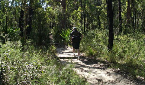 Karloo Walking Track - Hotel Gold Coast 0