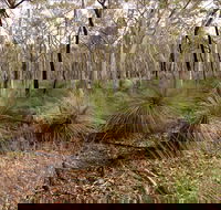 Livingstone National Park - Hotel Gold Coast