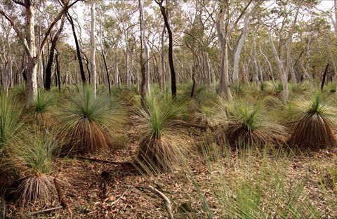 Livingstone National Park - Hotel Gold Coast 0