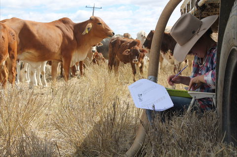 Longreach School Of Distance Education - Hotel Gold Coast 2