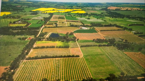 Martin's Orchard - Hotel Gold Coast 2