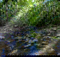 Nambucca Valley - Hotel Gold Coast