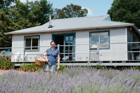 Nannup Lavender Farm - Hotel Gold Coast 1
