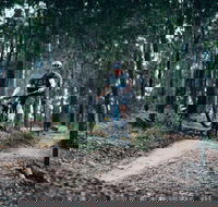 Nerang Mountain Bike Trails - Hotel Gold Coast
