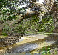 Saltwater National Park - Hotel Gold Coast