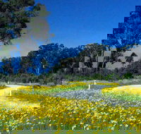 Shearer's Way - Hotel Gold Coast