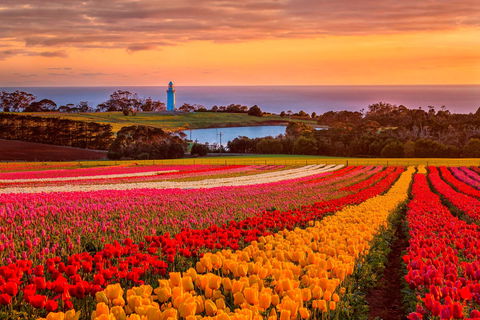 Table Cape - Hotel Gold Coast 0