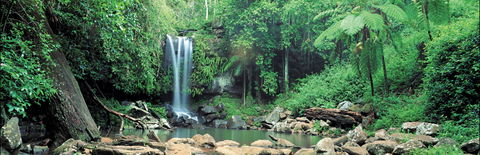 Tamborine National Park - Hotel Gold Coast 0