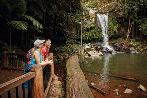 Tamborine National Park - Hotel Gold Coast 1