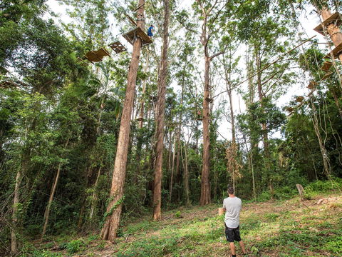 TreeTop Challenge - Sunshine Coast - Hotel Gold Coast 1