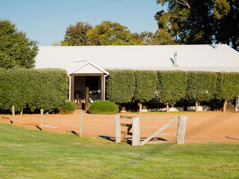 Vasse Virgin - Hotel Gold Coast 1