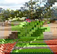 Vines Mini Golf - Hotel Gold Coast