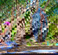 Wagirra Trail and Yindyamarra Sculpture Walk - Hotel Gold Coast