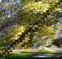 Wattle Park - Hotel Gold Coast