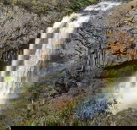 Waterfall Way Scenic Drive - Hotel Gold Coast