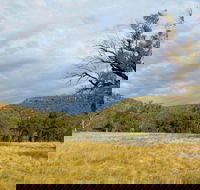 Weddin Mountains National Park - Hotel Gold Coast